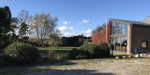 Garten_Herbst_2.jpeg